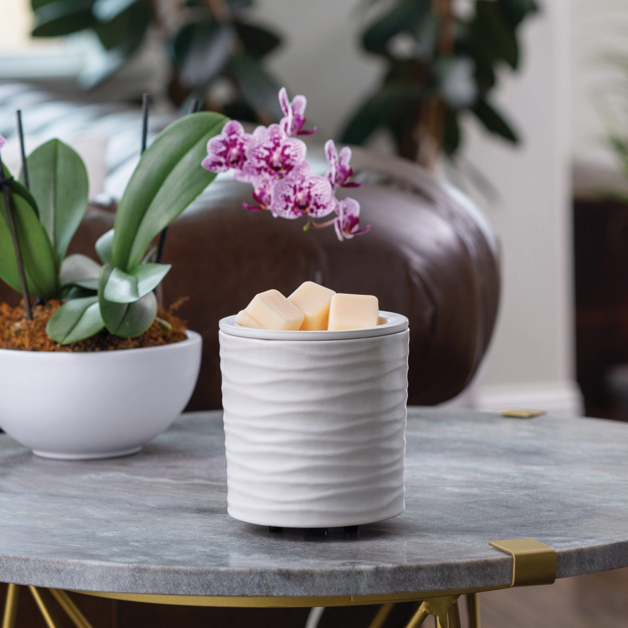 Candle Warmers Etc. Shop our Wax Melts, and Candle Warmers