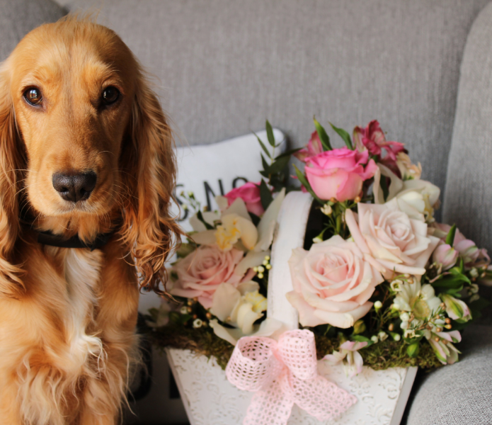 The Best Fragrances for Selling Your Home