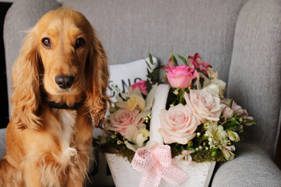 The Best Fragrances for Selling Your Home