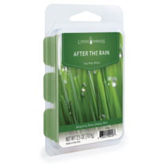 AFTER THE RAIN FRAGRANCE: Calm, clean, freshness after a storm. TOP NOTES: Fresh Green Basil, Bergamot, Ylang Ylang MID NOTES: Violet, Lavender, Spearmint BASE NOTE: Musk