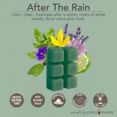 AFTER THE RAIN FRAGRANCE: Calm, clean, freshness after a storm. TOP NOTES: Fresh Green Basil, Bergamot, Ylang Ylang MID NOTES: Violet, Lavender, Spearmint BASE NOTE: Musk