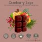 CRANBERRY SAGE FRAGRANCE: Tart cranberries combined with Valencia orange and sage. TOP NOTES: Tart Cranberry, Valencia Orange, Strawberry MID NOTES: Peach Nectar, Clary Sage, Cinnamon BASE NOTES: Cedar, Mistletoe, Frosted Spruce
