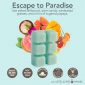 ESCAPE TO PARADISE FRAGRANCE: Sea salted driftwood, warm sands, windswept grasses, and a hint of sugared papaya. TOP NOTES: Peach, Tropical, MID NOTES: Citrus, Guava BASE NOTES: Woody