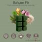 BALSAM FIR FRAGRANCE: Fresh cut balsam fir on a crisp winter day. TOP NOTES: Invigorating Green Highlights, Fir Needle, Sprinkle of Spice MID NOTES: Balsam Peru, Leafy Greens, Splash of Fruit, Earthy Accents BASE NOTES: Gentle Musk, Warm Woods, Caramelized Sugar, Soft Powder