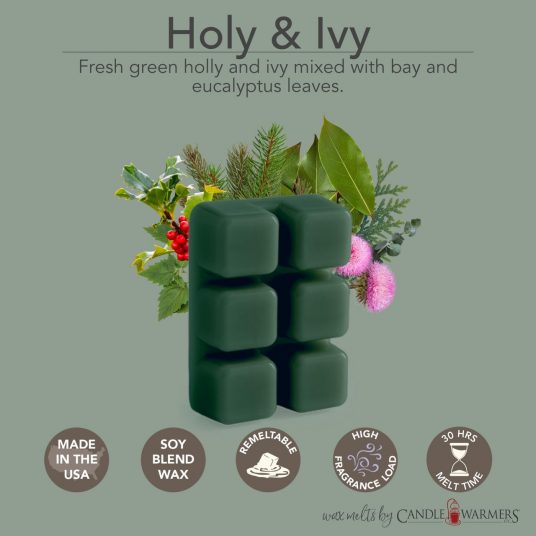 Eucalyptus Wax Melts Strong Scented Wax Meltsscented Wax Melts for