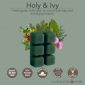 HOLLY & IVY FRAGRANCE: Fresh green holly and ivy mixed with bay and eucalyptus leaves. TOP NOTES: Bay Leaves, Pine MID NOTES: Herbal, Cedar BASE NOTES: Patchouli, Musk