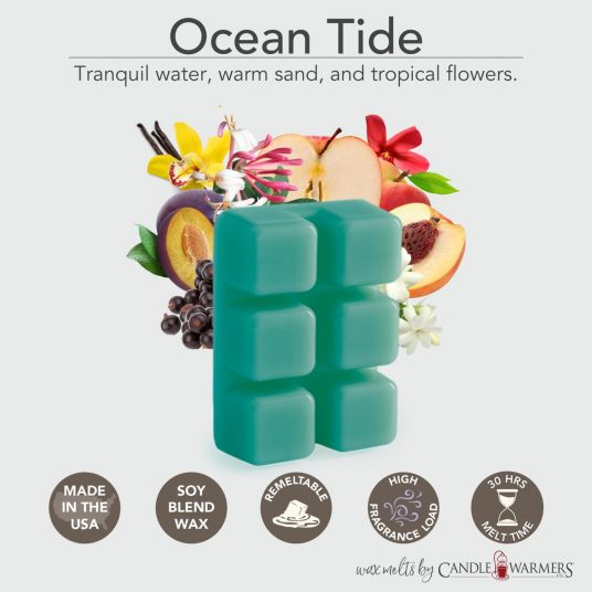 Ocean Breeze Wax Melt, Wax Tarts, Handmade 100% Soy Wax Melts for Warmers,  Beachy Scented Wax Melt Snap Bar All Natural & Eco-friendly Melts 