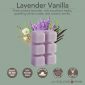 LAVENDER VANILLA FRAGRANCE: Fresh-picked lavender, soft woodland herbs, sparkling white musk, and creamy vanilla. TOP NOTES: Herbal, Fresh, Lavender, Green MID NOTES: Herbal, Lavender, Floral, Vanilla BASE NOTES: Herbal, Lavender, Vanilla, Wood