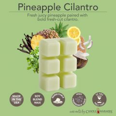 PINEAPPLE CILANTRO FRAGRANCE: Fresh juicy pineapple paired with bold fresh-cut cilantro. TOP NOTES: Crushed Pineapple, Meyer Lemon MID NOTES: Fresh Cilantro, Creamy Coconut Milk BASE NOTES: Sugar Cane, Vanilla Bean, Chiffon Musk