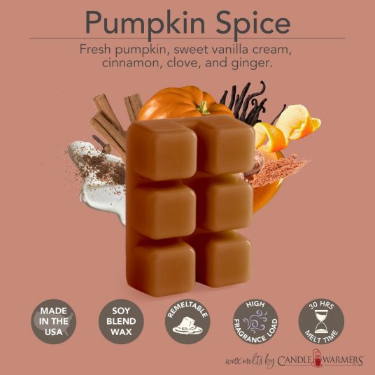 Pumpkin Scented Wax Melt - 1 Pack - 2 Ounces - 6 Cubes