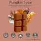 PUMPKIN SPICE FRAGRANCE: Fresh pumpkin, sweet vanilla cream, cinnamon, clove, and ginger. TOP NOTES: Cinnamon Stick, Grated Clove, Dash of Nutmeg MID NOTES: Pumpkin Pure, Orange Peel BASE NOTES: Milky Vanilla, Maple Syrup