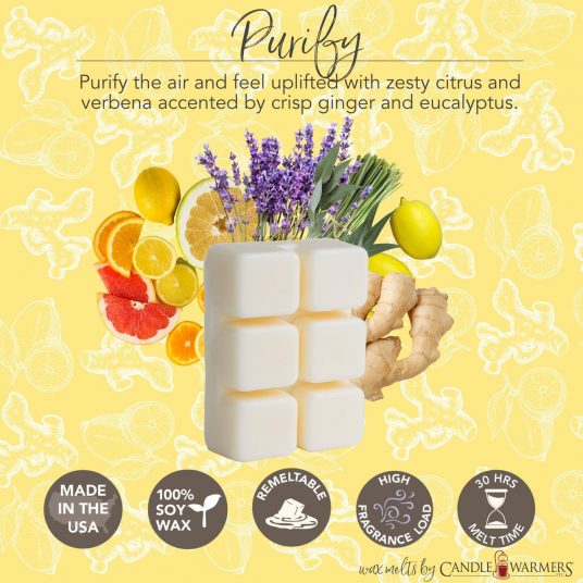 Purify Aromatherapy Wax Melts