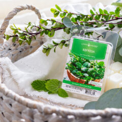Awaken your senses with our Refresh Wax Melt, expertly crafted with essential oils. Experience the invigorating blend of crisp eucalyptus, herbal greens, and soothing sandalwood, brought to life by cool whispers of aquatic spearmint. Immerse yourself in the refreshing fragrance that revitalizes your space and uplifts your mood. The natural and rejuvenating aroma of this wax melt is perfect for creating a tranquil and revitalizing ambiance in any room.