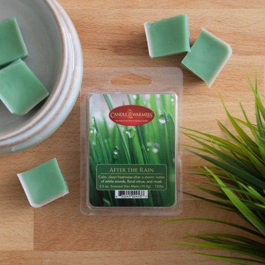 AFTER THE RAIN FRAGRANCE: Calm, clean, freshness after a storm. TOP NOTES: Fresh Green Basil, Bergamot, Ylang Ylang MID NOTES: Violet, Lavender, Spearmint BASE NOTE: Musk