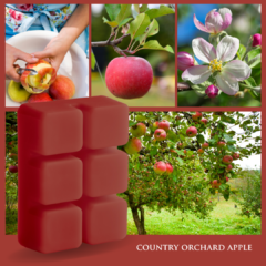 Country Orchard Apple Classic Wax Melts