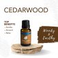 Cedarwood Essential Oil