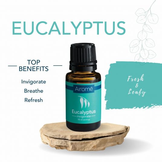 Start a solid aromatherapy foundation with these everyday essential oil basics. Each has been selected for its vibrant fragrance and aromatherapy properties. Use as individual oils or blend together for a variety of benefits. Set includes Lavender, Lemongrass, Orange, Peppermint and Tea Tree essential oils. Each can be diffused to release various aromatherapy benefits. That can be used on their own or combined with other oils for unique fragrance blends.