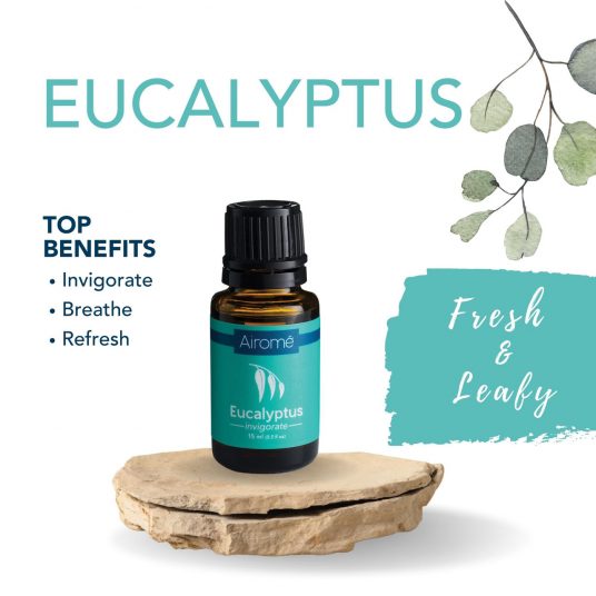 Odor Eliminating - Eucalyptus Mist Wax Melt