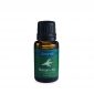 Balsam Fir Essential Oil