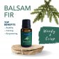Balsam Fir Essential Oil