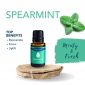 Spearmint Essential Oil