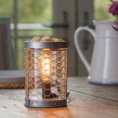 Gilded Glass Illumination Wax Melt Warmer (Electric) – The Radiant