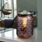 Smokey Hobnail Vintage Bulb Illumination Fragrance Warmer