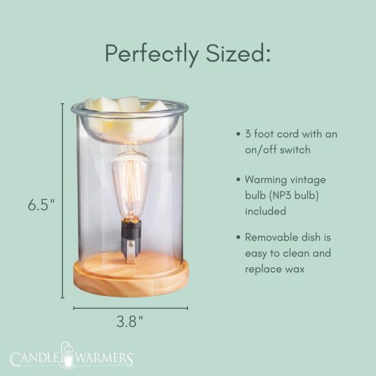 Replacement Scentsy Bulbs 2024