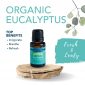 Eucalyptus Organic Essential Oil