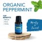 Peppermint Organic mL Essential Oil