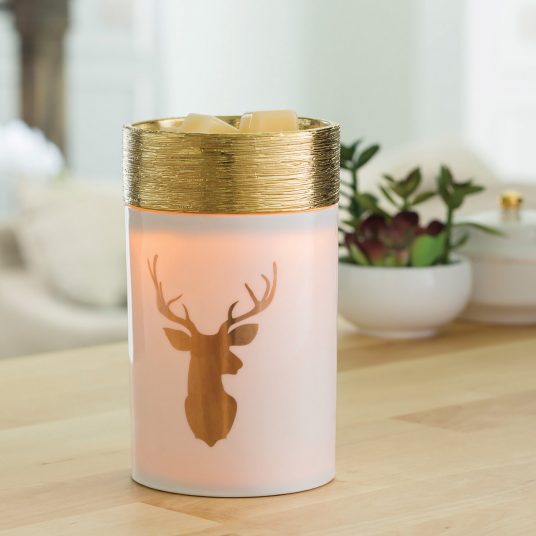 Illumination Fragrance Warmer Gift Set