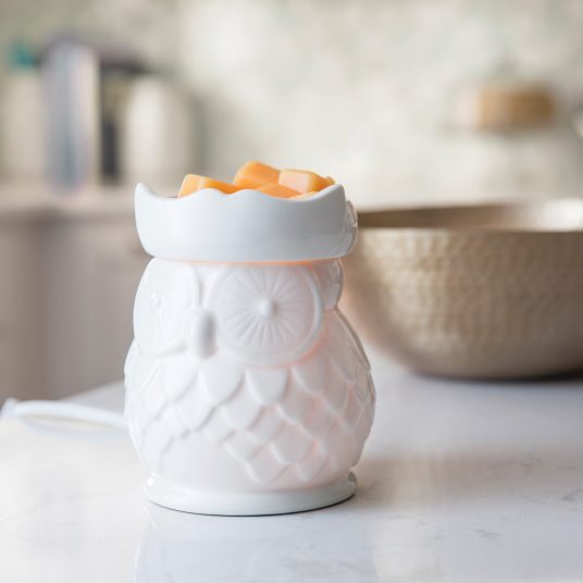 Owl Porcelain Illumination Fragrance Warmer
