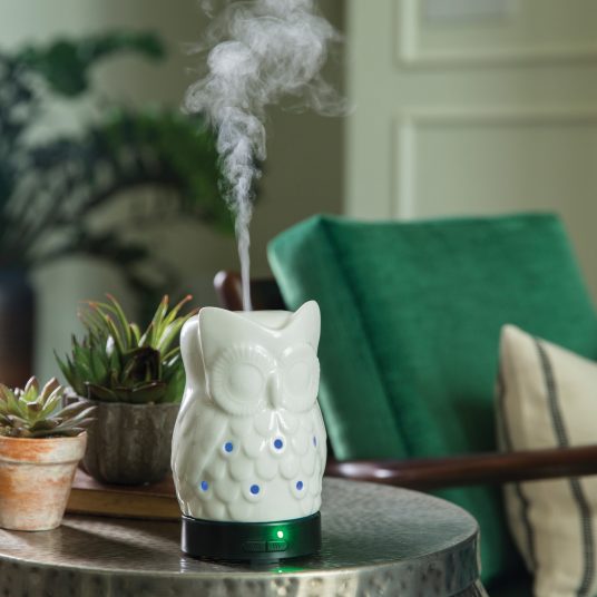 Owl Medium Ultra Sonic Diffuser