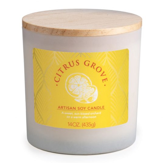 Citrus Grove 14 oz. Limited Edition Artisan Candle