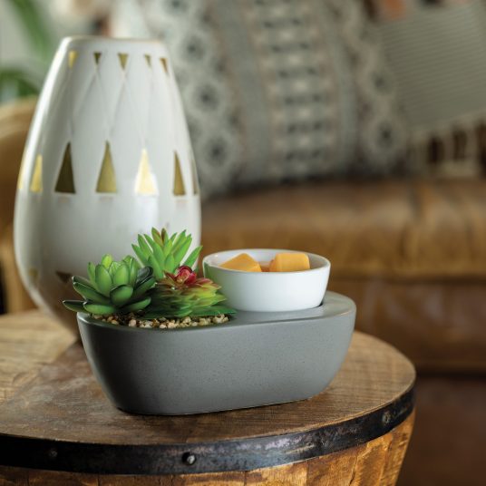 ArtScents Succulent Wax Warmer