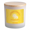 Citrus Grove 14 oz. Limited Edition Artisan Candle