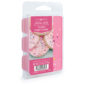 Frosted Sugar Cookie Artisan Wax Melts by Candle Warmers Etc. Fresh-baked cookies frosted in creamy vanilla icing.