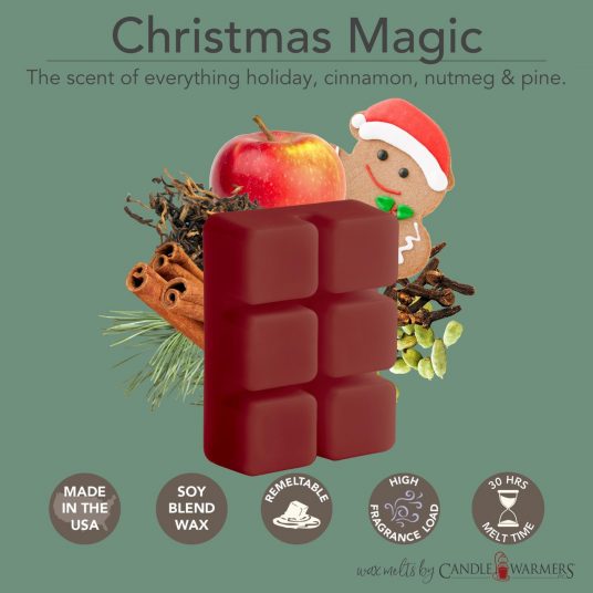  Winter Wax Melts Wax Cubes, Scented Wax Melts Soy Wax Candle  Melts, Wax Melts Christmas Scents for Warmer, Balsam & Cedar, Apple Cider,  Cookies for Santa, Vanilla Cupcake, Hot Chocolate, Pumpkins 