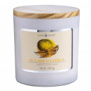 Sugared Citrus 14 oz. Limited Edition Candle