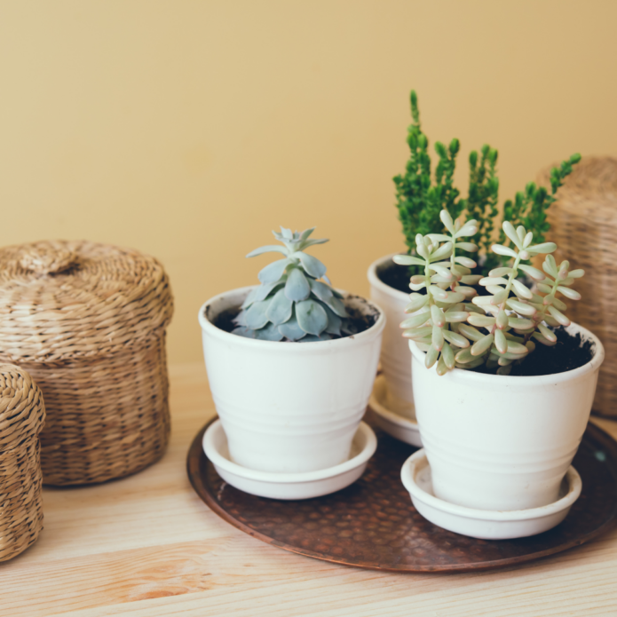 Nature Inspired Home Decor Mood Board