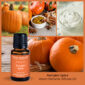 PUMPKIN SPICE: Pumpkin Spice Room Perfume Diffuser Oil is just what you need for your home during the fall months. This wonderful scent is light, sweet, and carries some spicy undertones that remind us of the holidays. The combination of pumpkin, spices, maple syrup and vanilla make for a rich smelling fragrance that is reminiscent of pumpkin pie. TOP NOTES: Cinnamon stick, grated clove, dash of nutmeg MID NOTES: Pumpkin Puree, Orange Peel BASE NOTES: Milky Vanilla, Maple Syrup