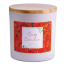 Candy Cane Lane 14 oz. Holiday Limited Edition Candle