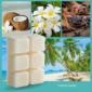 Coco Oasis is a tropical and lush fragrance that captures the soft scent of coconut. The natural aroma of Tahitian Tiare and white tuberose blend seamlessly with creamy coconut to create a soothing scent that will transport you to paradise.