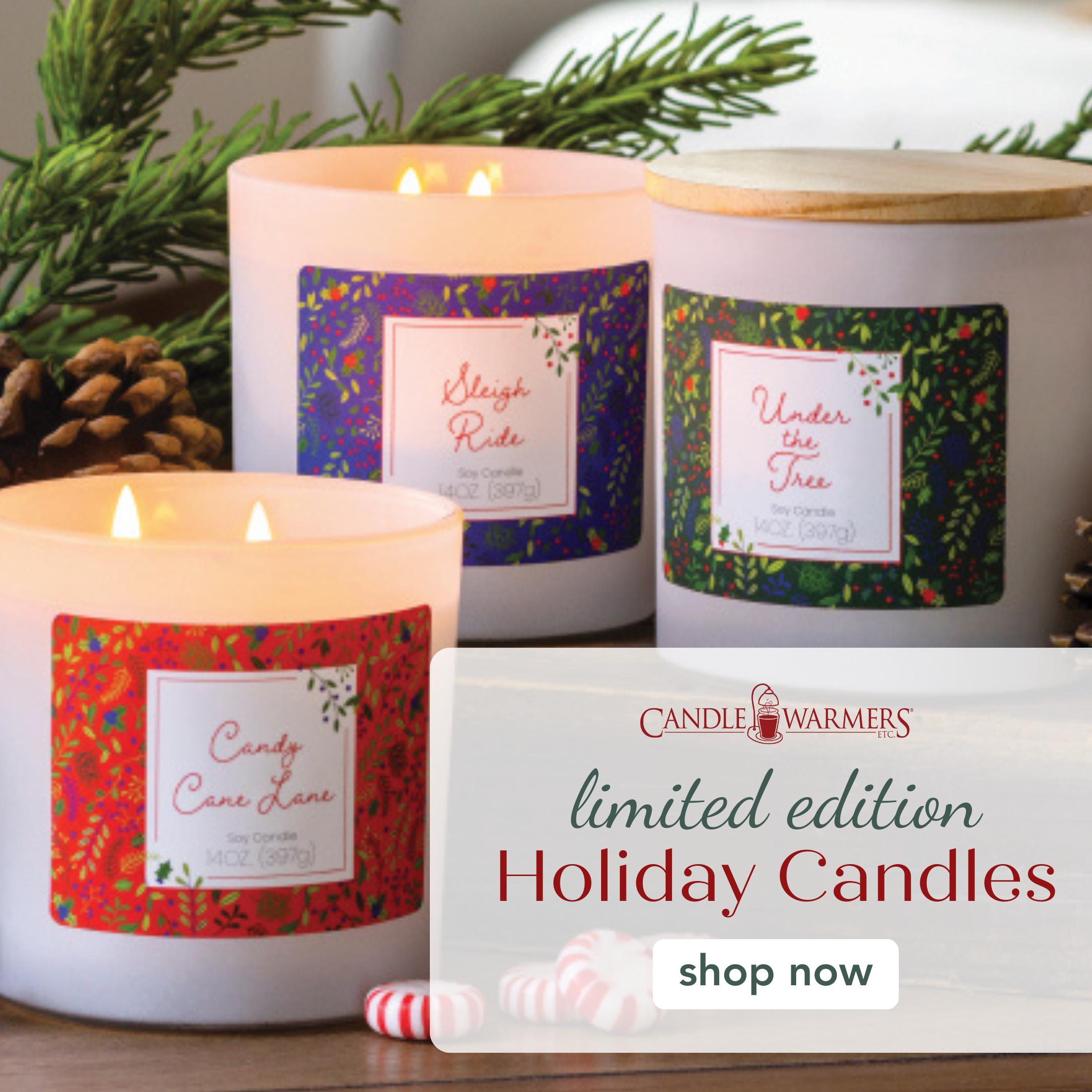 Candle Warmers Etc.  Shop our Wax Melts, and Candle Warmers