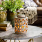 The Geo Canopy Illumination Warmer is a decorative, stylish, and simple warmer that will complement your home décor. This top-down wax warmer features a metal handle and a halogen light bulb for melting fragranced wax melts. It has an elegant circular shape with a geometric pattern that adds interest to any room.