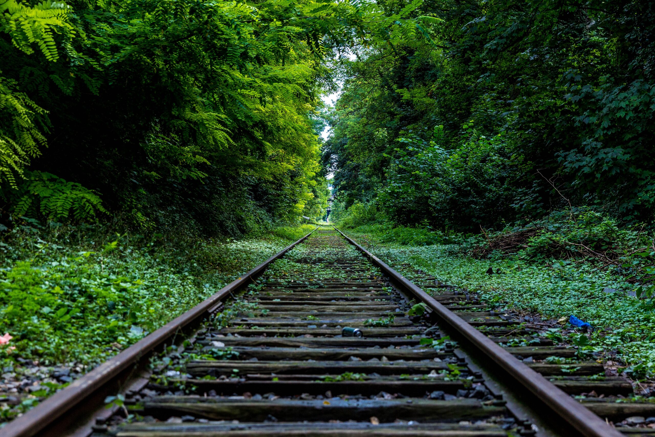 How Shades of Green Influence Your Mood 