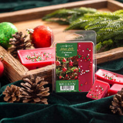 FRAGRANCE: Create a festive ambiance in your home with our Christmas Day Artisan Wax Melt. Indulge in the comforting scent of cinnamon, nutmeg, and pine, perfectly interlaced with the aromatic top notes of apple, ginger, and clove. The engaging mid notes of tea and cinnamon add a delightful twist, enhancing the holiday spirit and infusing your surroundings with a warm and cozy atmosphere. The elegant and captivating base notes of cardamom leave a lasting impression, making this a perfect choice for an unforgettable holiday season. TOP NOTES: Apple, Ginger, Clove MID NOTES: Tea, Cinnamon BASE NOTES: Cardamom