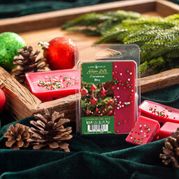 FRAGRANCE: Create a festive ambiance in your home with our Christmas Day Artisan Wax Melt. Indulge in the comforting scent of cinnamon, nutmeg, and pine, perfectly interlaced with the aromatic top notes of apple, ginger, and clove. The engaging mid notes of tea and cinnamon add a delightful twist, enhancing the holiday spirit and infusing your surroundings with a warm and cozy atmosphere. The elegant and captivating base notes of cardamom leave a lasting impression, making this a perfect choice for an unforgettable holiday season. TOP NOTES: Apple, Ginger, Clove MID NOTES: Tea, Cinnamon BASE NOTES: Cardamom