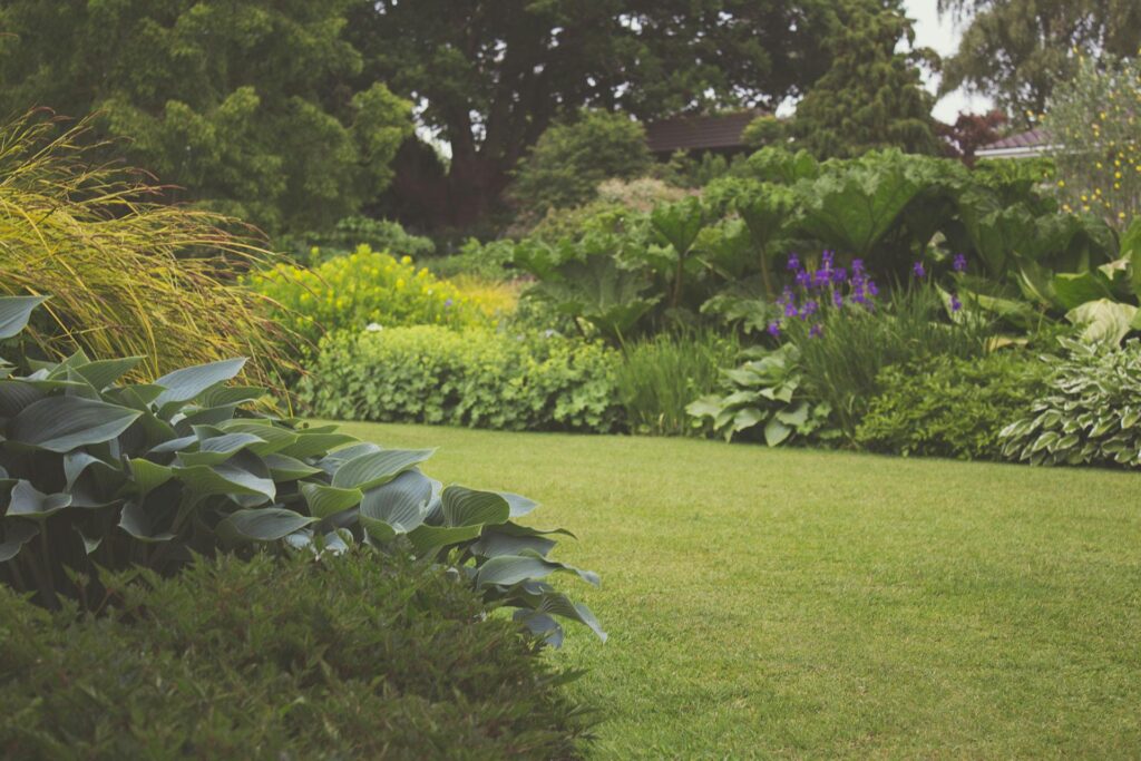 Natural Tips to Protect Your Garden