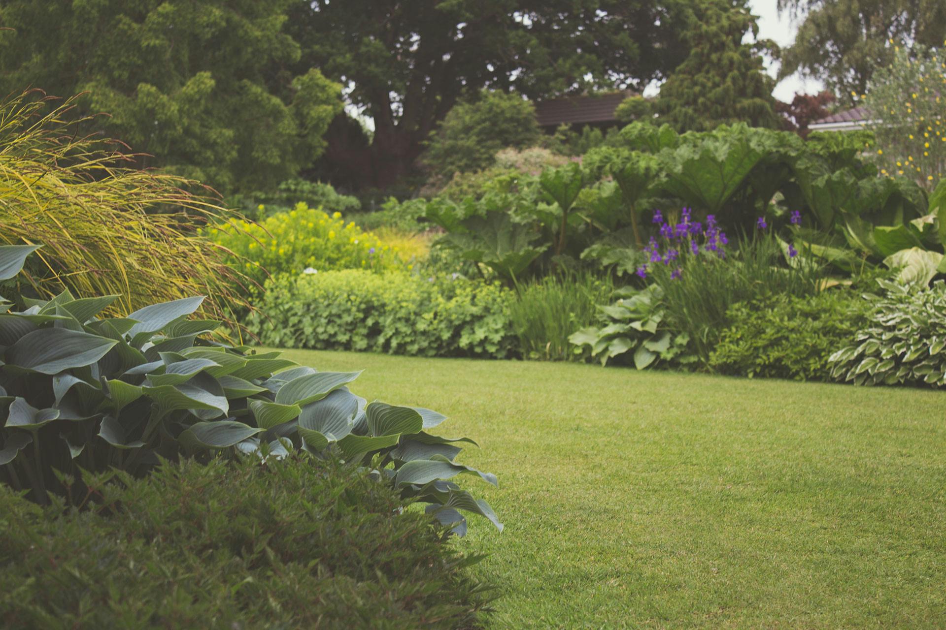 Natural Tips to Protect Your Garden